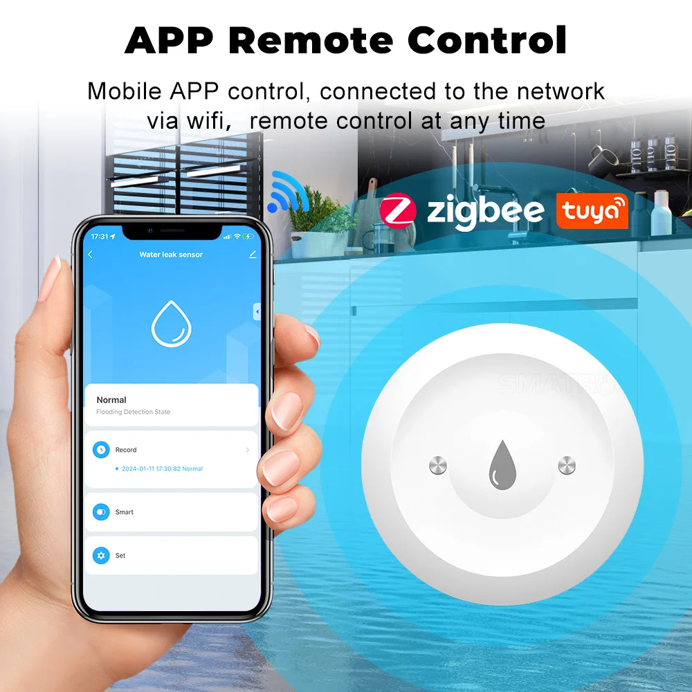 Tuya Zigbee Smart Water Leak S - đánh giá và giá Kitchen Appliances Video