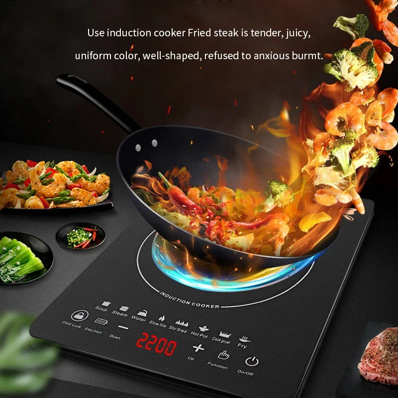 Bếp từ đa năng dùng trong gia  - đánh giá và giá Induction Cooktop Portable